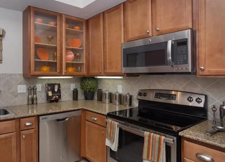 5515 Estancia Circle #15202KOS - 3,964USD / month