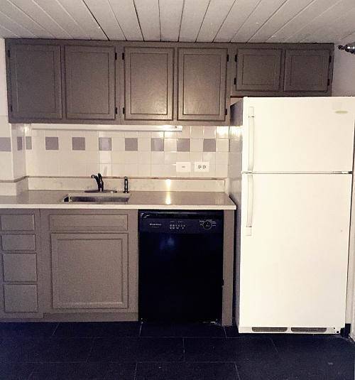 221 S 12th Street #318N - 1,450USD / month