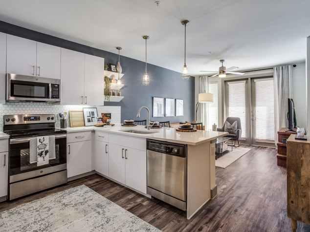 195 W Davis St #03-249, Dallas, TX - 1,640 USD/ month