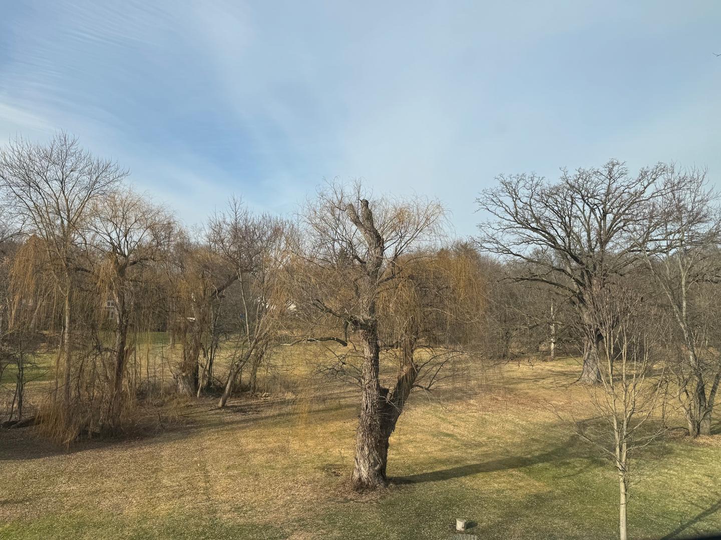 Image 14 For 2237 Evergreen Road