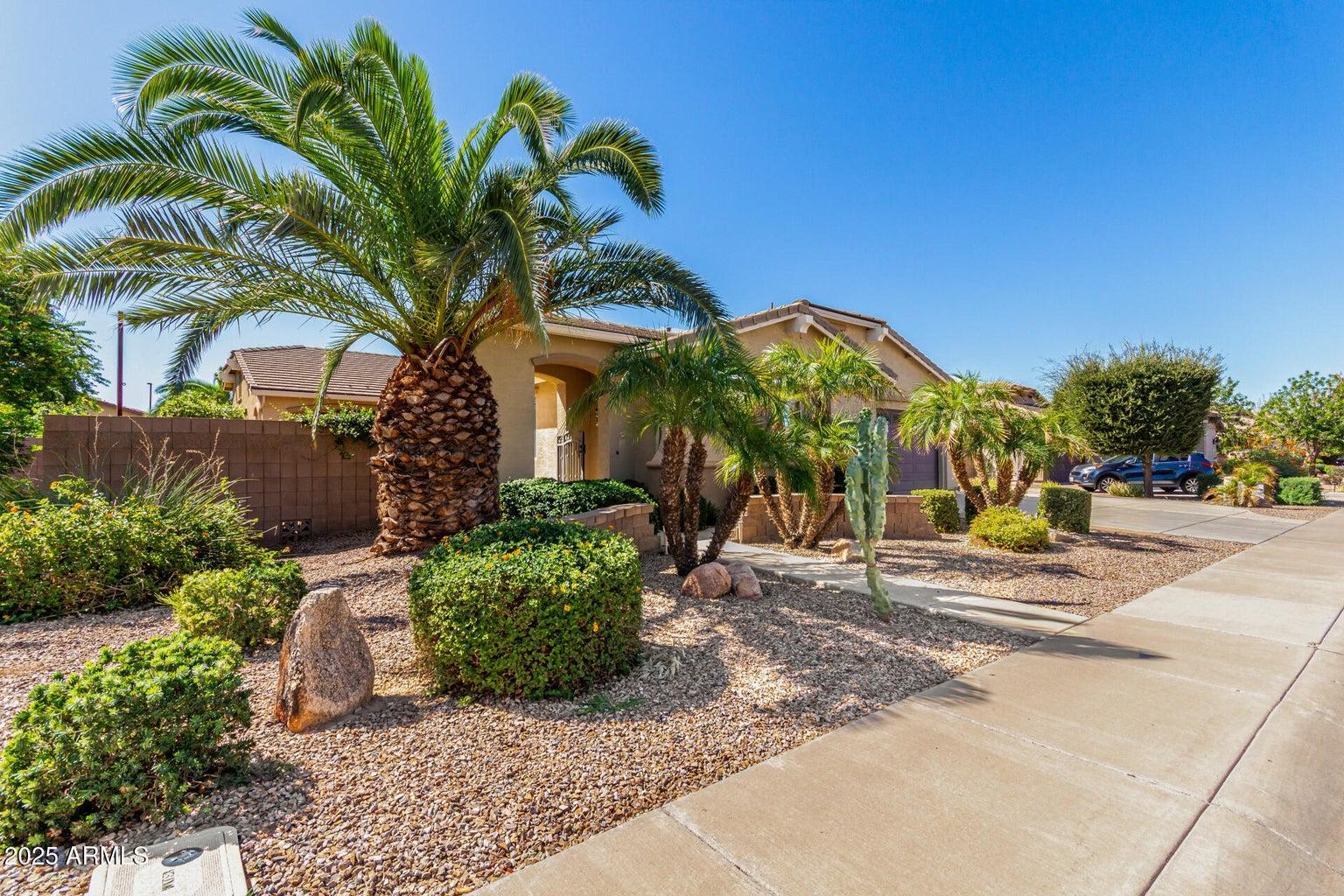 2585 E Carob Drive, Gilbert, AZ, 85298