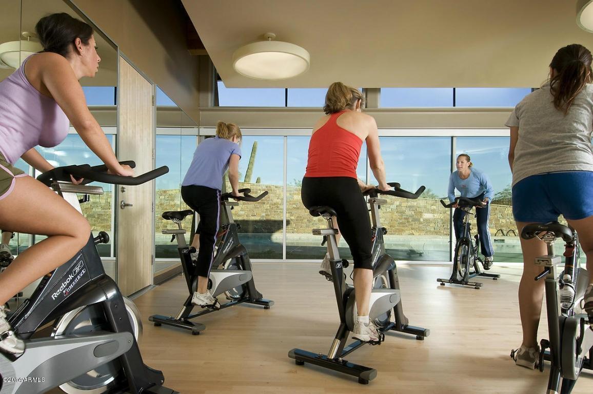 3607 E Salter Drive, Phoenix, AZ, 85050