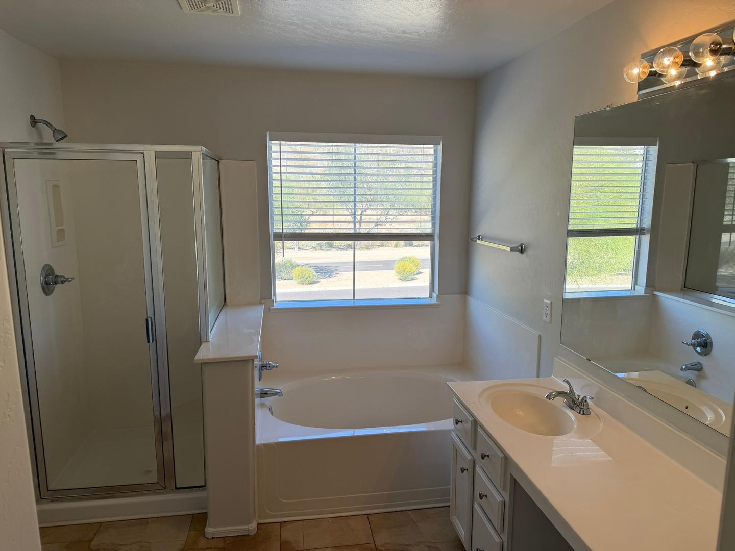 226 W Mountain Sage Drive, Phoenix, AZ, 85045