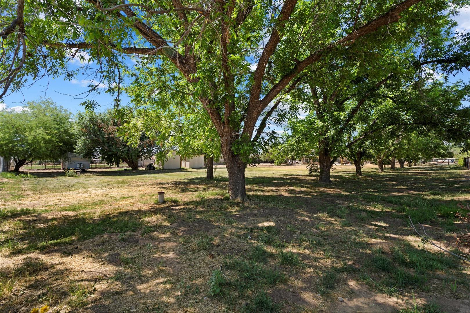 23265 S Via Del Arroyo, Queen Creek, AZ, 85142