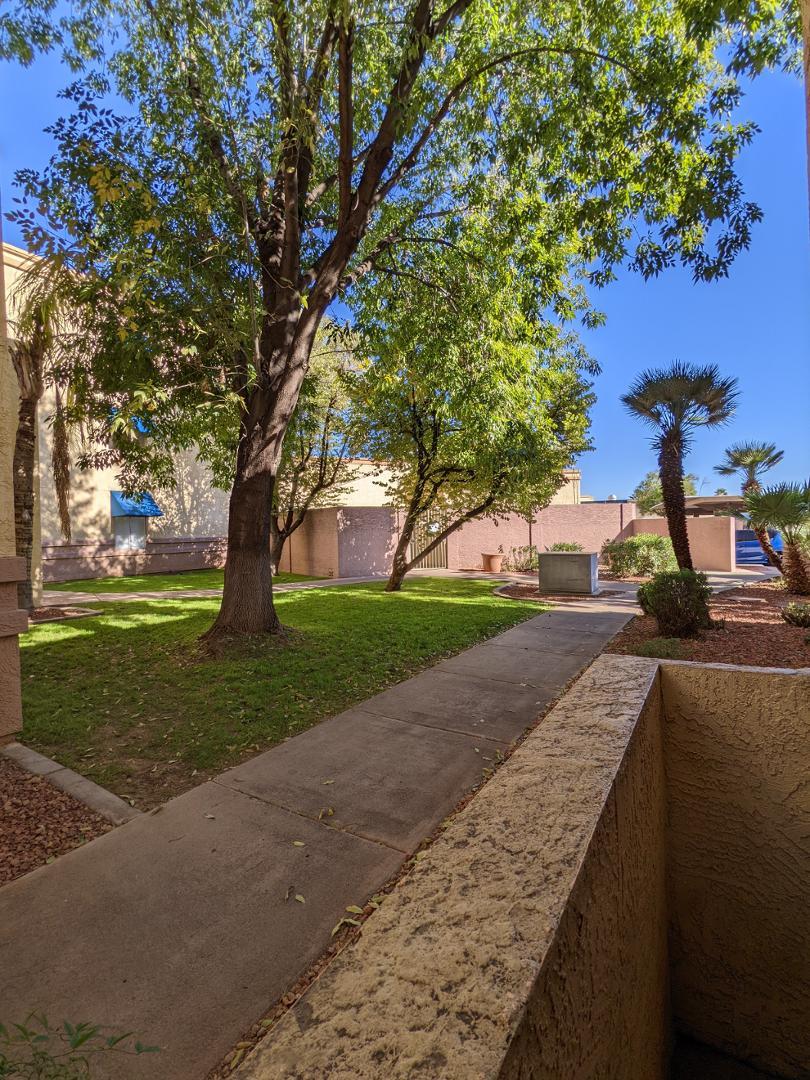 12221 W Bell Road UNIT 175, Surprise, AZ, 85378