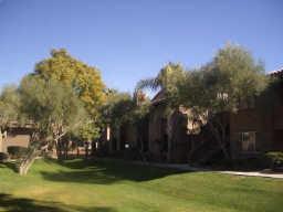 7009 E Acoma Drive UNIT 2041, Scottsdale, AZ, 85254