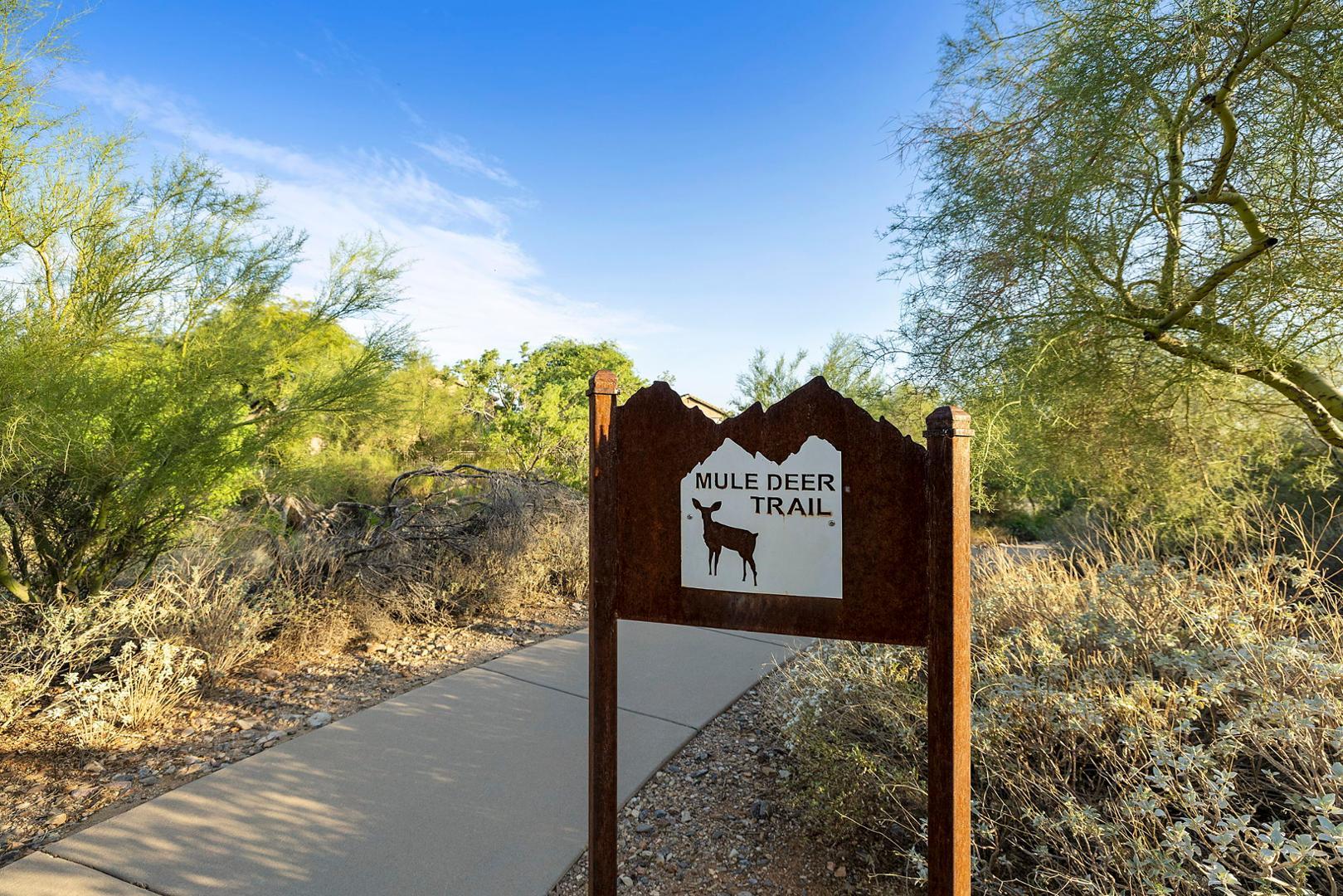 Scottsdale, AZ, 85255