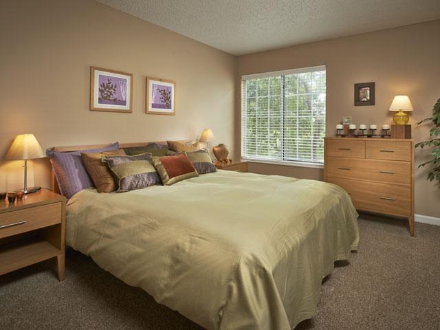 https://cdn.rentalbeast.com/listings/3921427_1589973187234.jpg.rbm