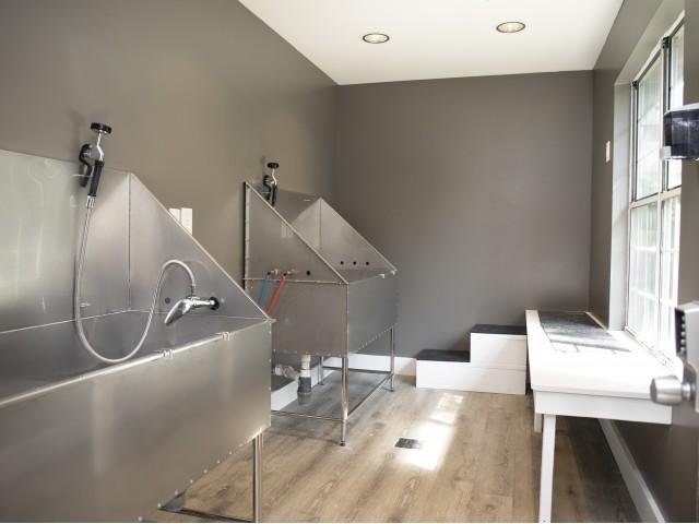 https://cdn.rentalbeast.com/listings/4238604_1597688722103.jpg.rbm