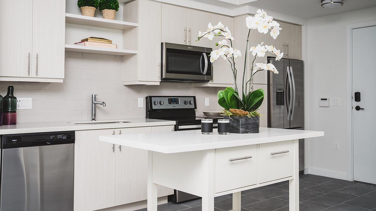 https://cdn.rentalbeast.com/listings/4642993_1609234012391.jpg.rbm