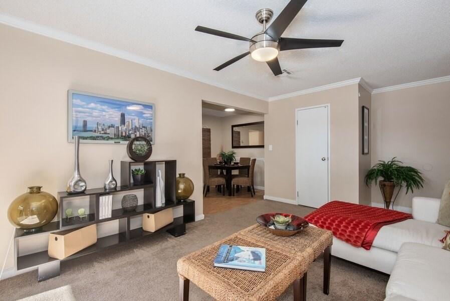 https://cdn.rentalbeast.com/listings/5146772_1624585935569.jpg.rbm