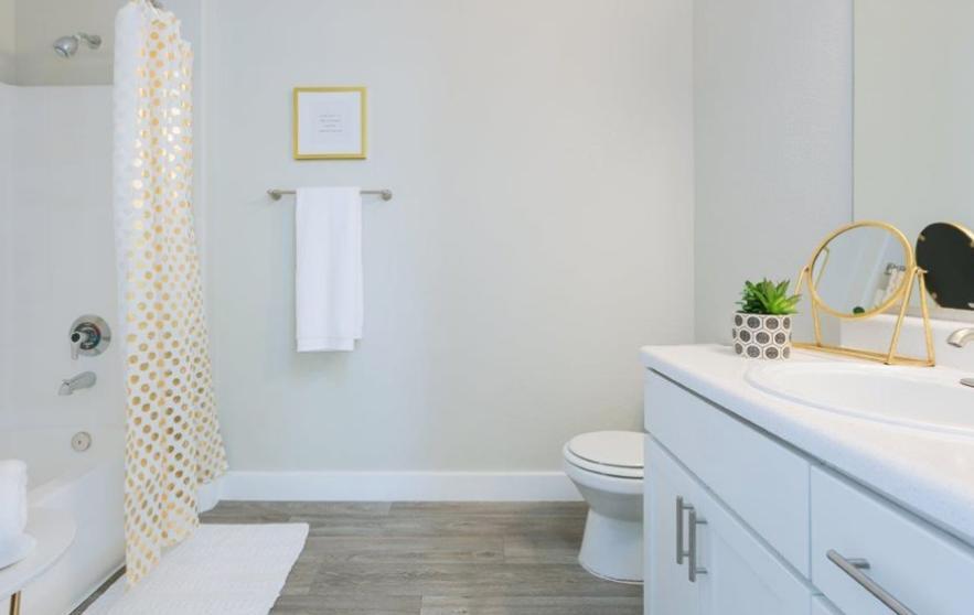 https://cdn.rentalbeast.com/listings/5239404_1625220553397.jpg.rbm