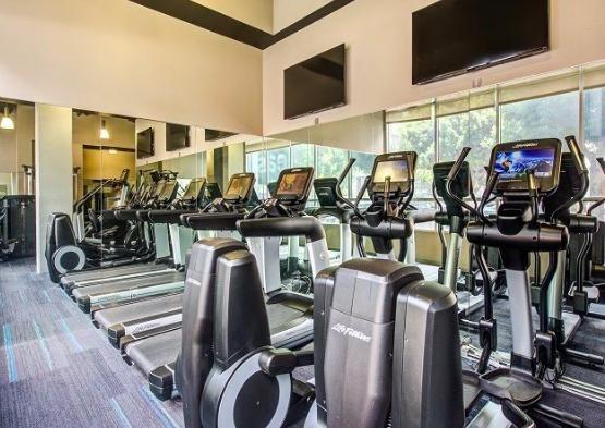 950 S Flower St #0217 - 1,993USD / month