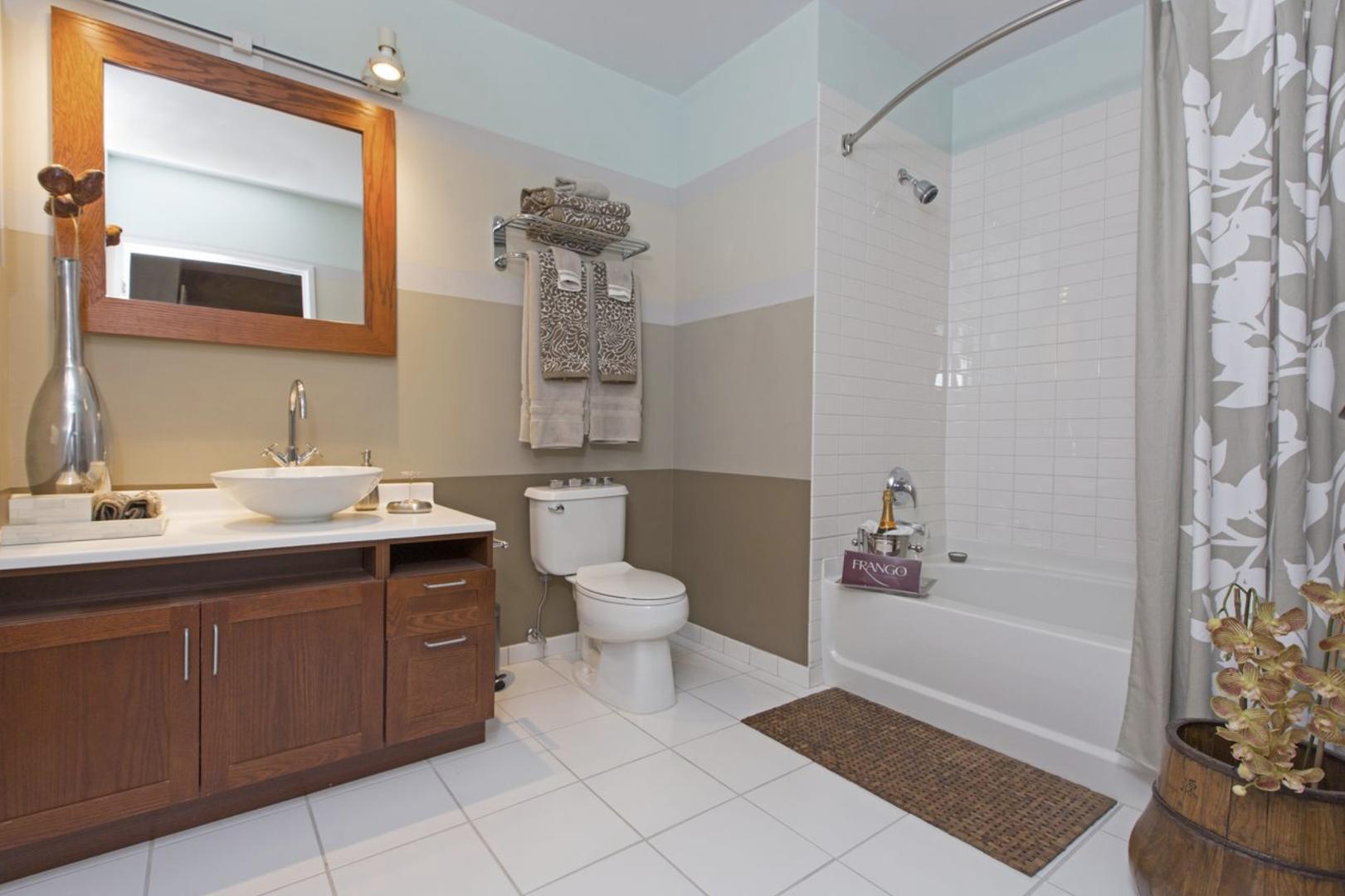 63 E Lake St #301M - 1,735USD / month