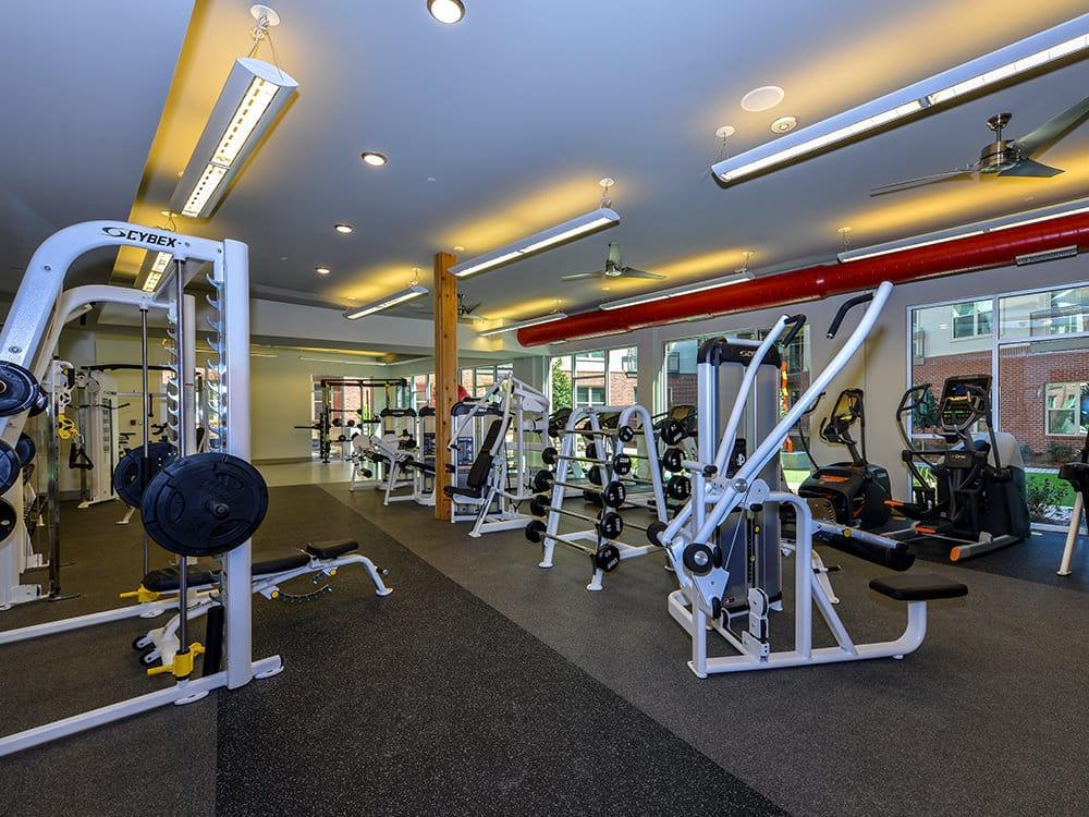 https://cdn.rentalbeast.com/listings/9169757_1712298036352.jpg.rbm
