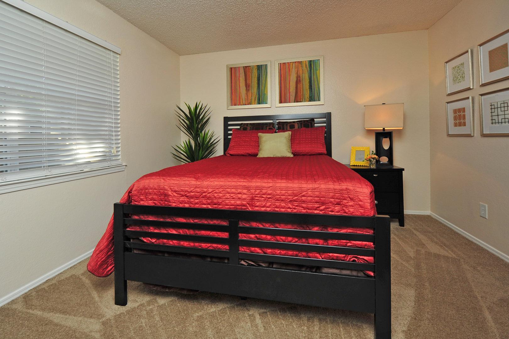 https://cdn.rentalbeast.com/listings/9739210_1720167177204.jpg.rbm