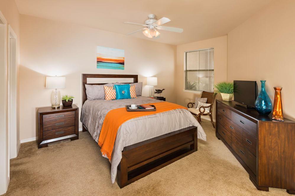 https://cdn.rentalbeast.com/listings/9972077_1721895414392.jpg.rbm