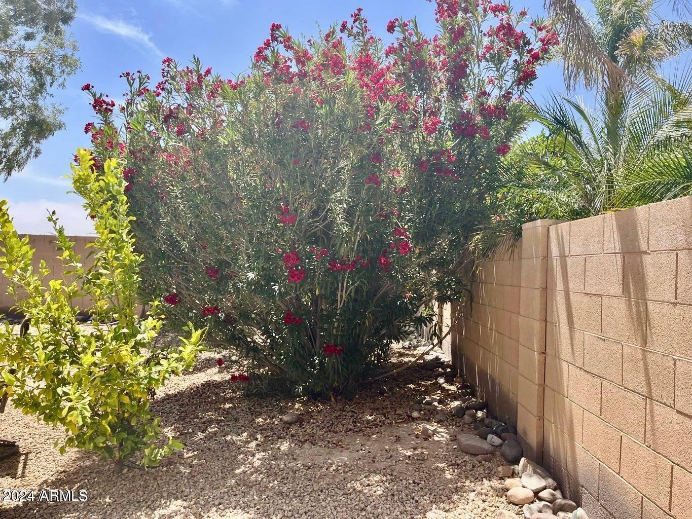 4543 E Gleneagle Drive, Chandler, AZ, 85249