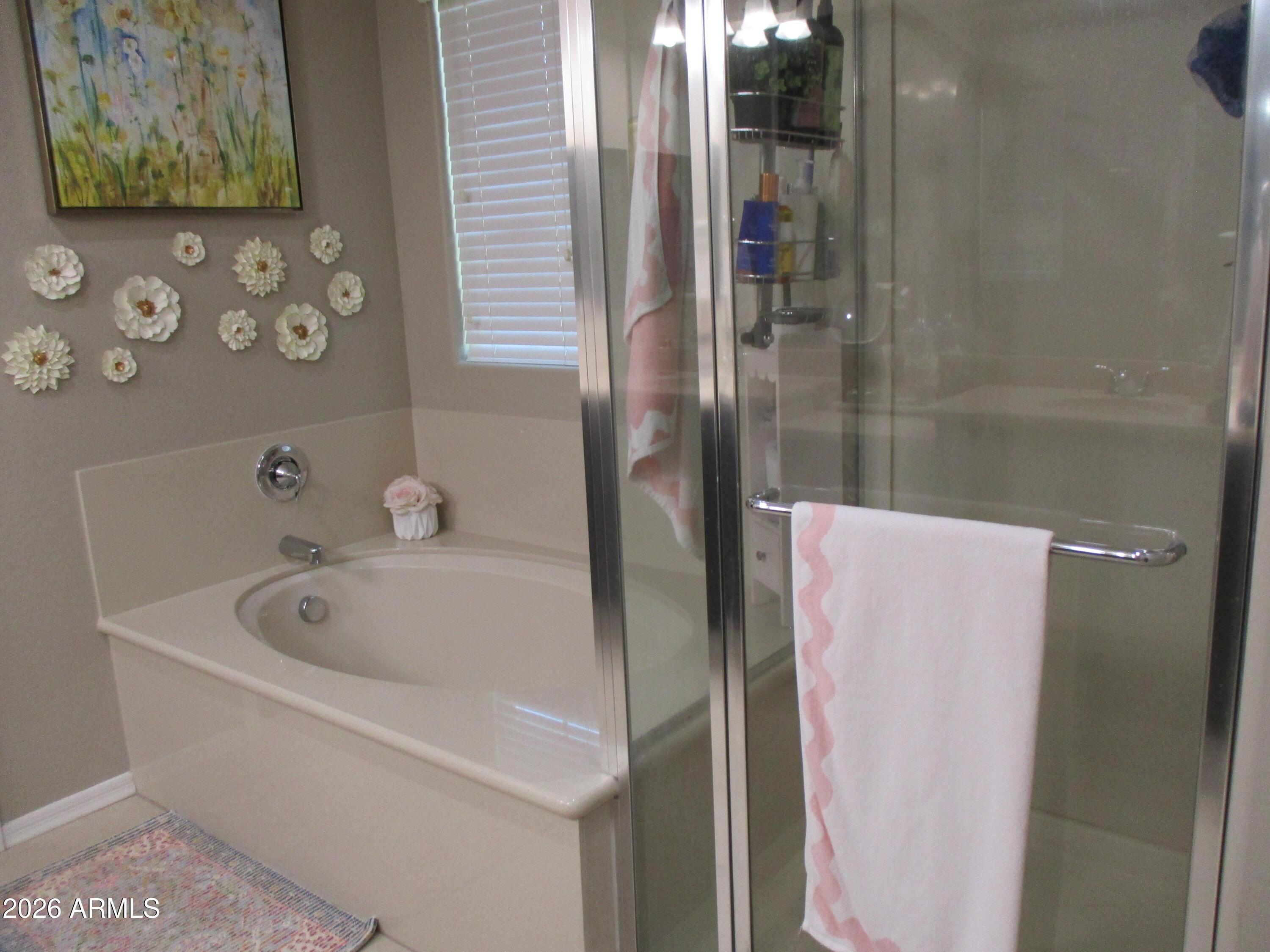 856 S Agnes Lane, Gilbert, AZ, 85296