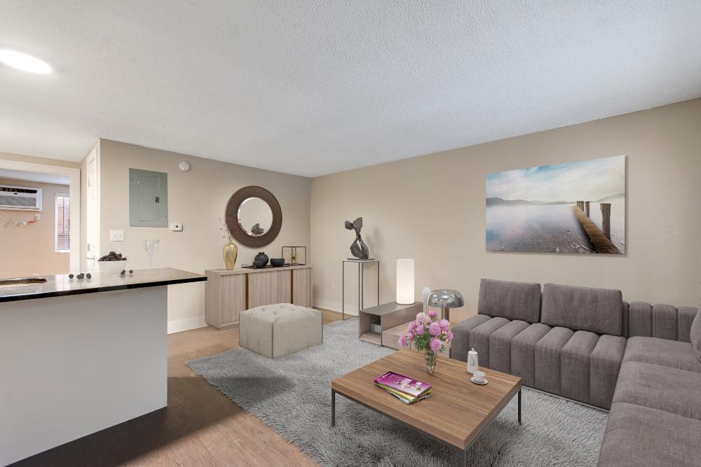 https://cdn.rentalbeast.com/listings/RCILS-3135952-105-0.jpg.rbm
