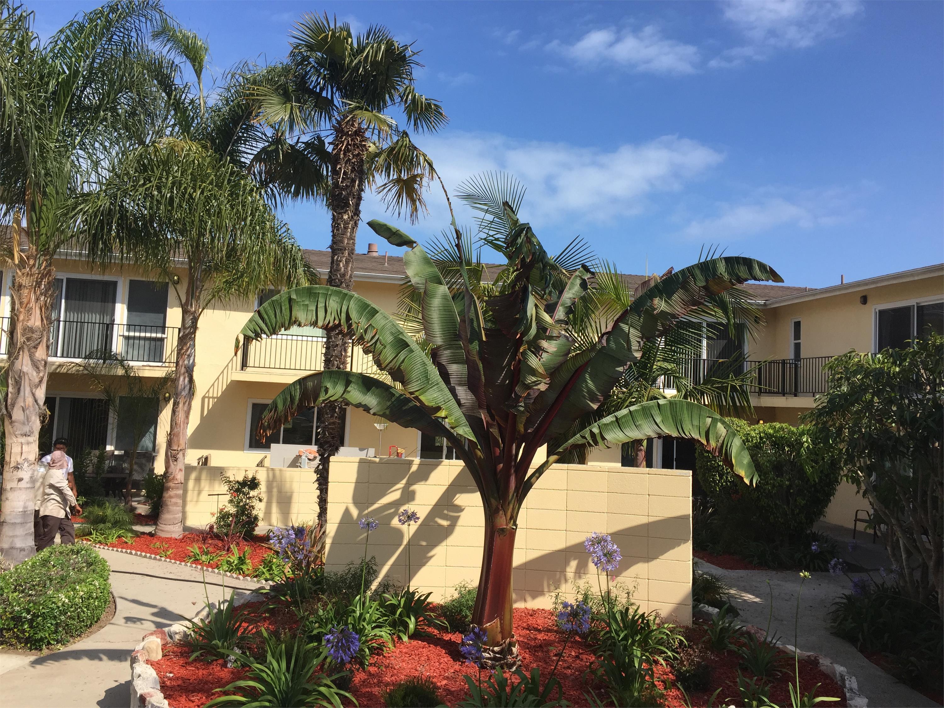 https://cdn.rentalbeast.com/listings/RPG-SF-11158857-1.jpg.rbm