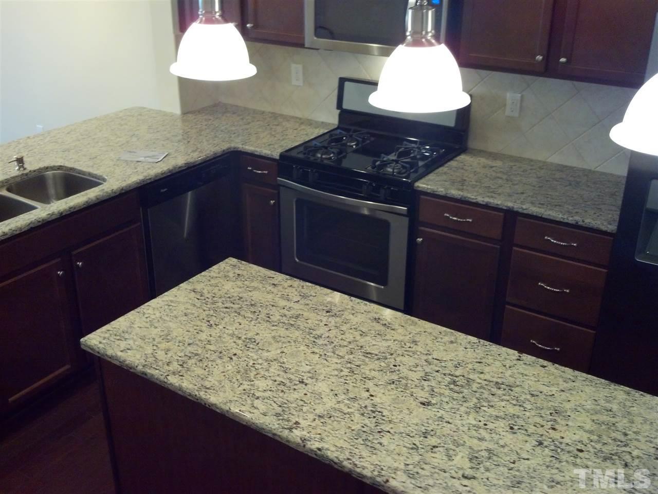 232 Mt Evans Drive photo 5