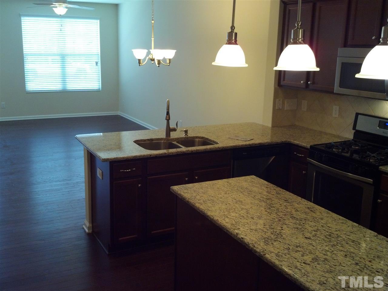 232 Mt Evans Drive photo 6