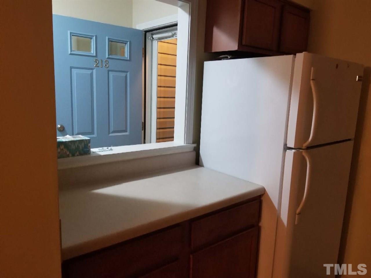 213 Schultz Street photo 4