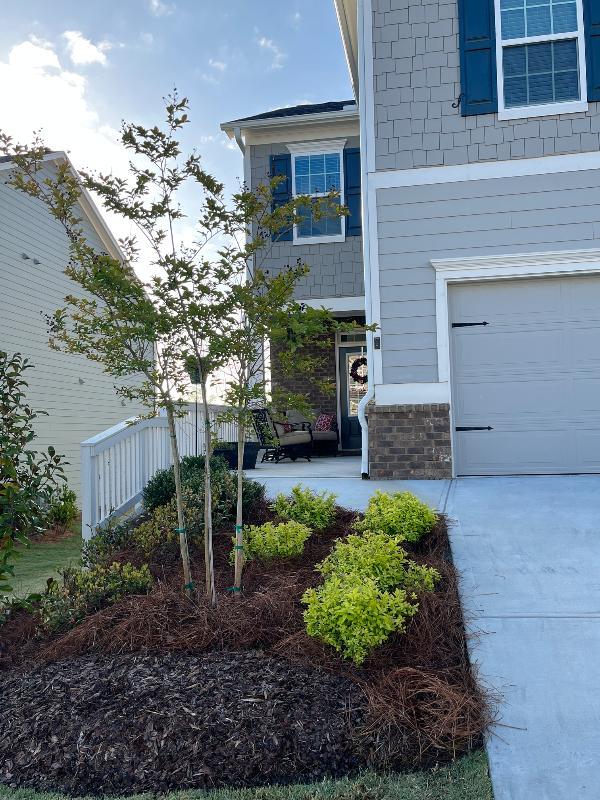 6826 Scarlet Oak Way - 2,340USD / month