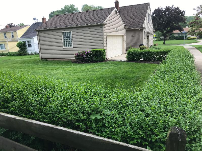 https://cdn.rentalbeast.com/listings/TURBOTENANT-897294-1.jpg.rbm