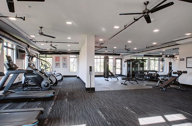 https://cdn.rentalbeast.com/listings/XAVIER-rbId10586681-0.jpg.rbm